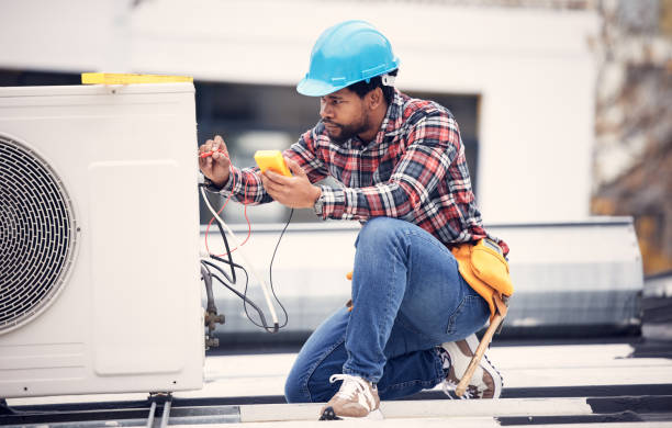Best Licensed Electrician  in Laurens, IA