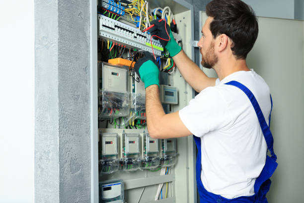 Best Electric Panel Repair  in Laurens, IA